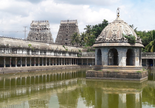 Best Nadi Astrologer in Pune 